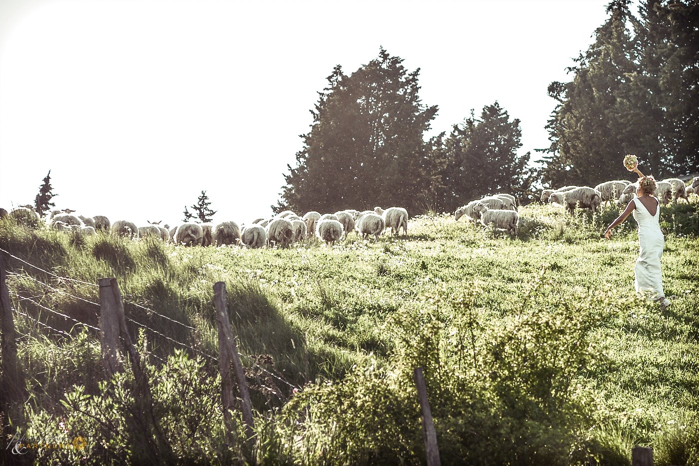 photographer_volterra_18.jpg