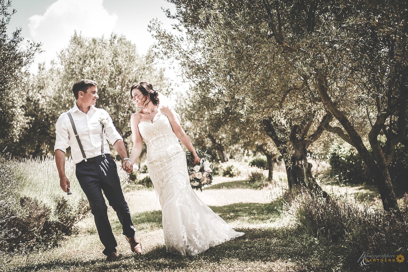 A walk among the olive trees... 