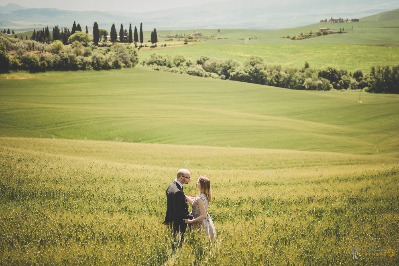 🌾 A beautiful view! 🌾