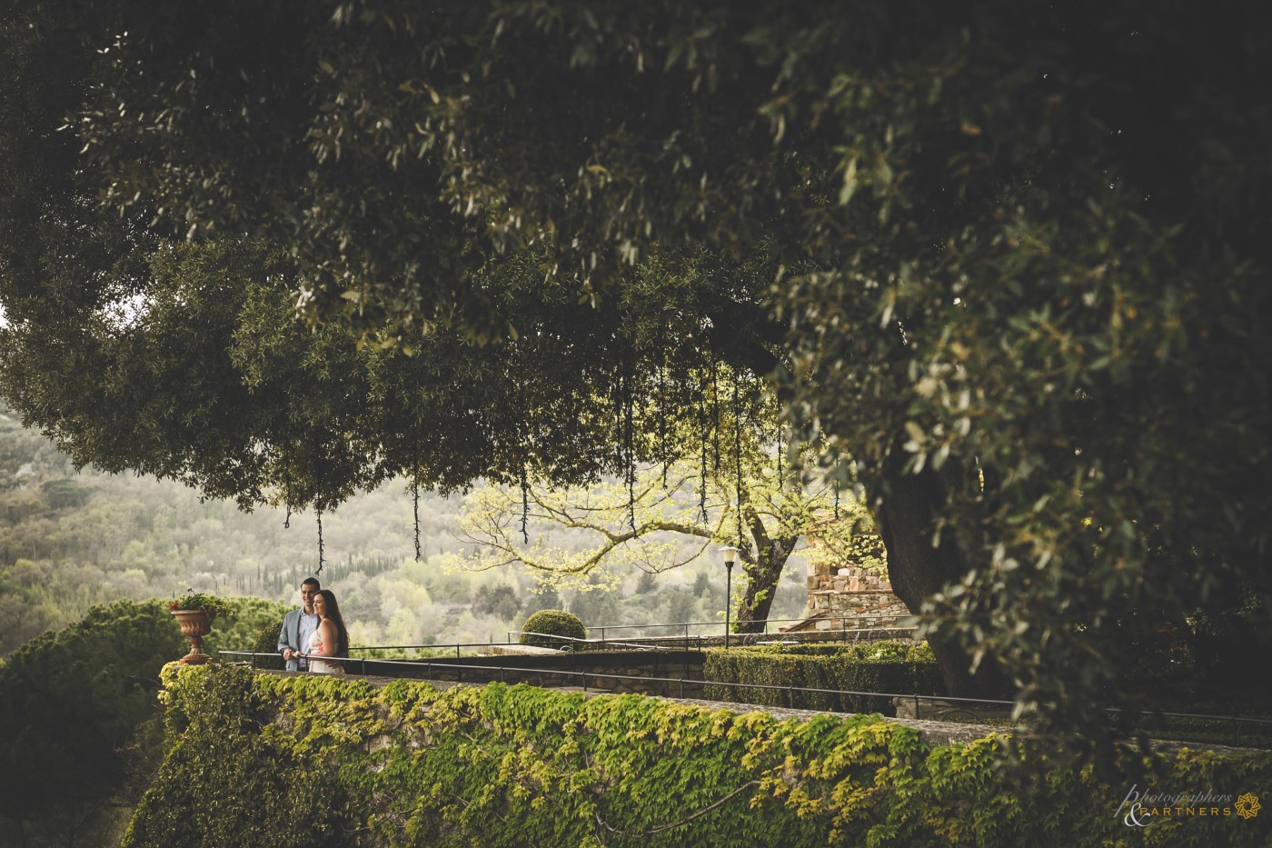 🍂The Vicchiomaggio garden🍂