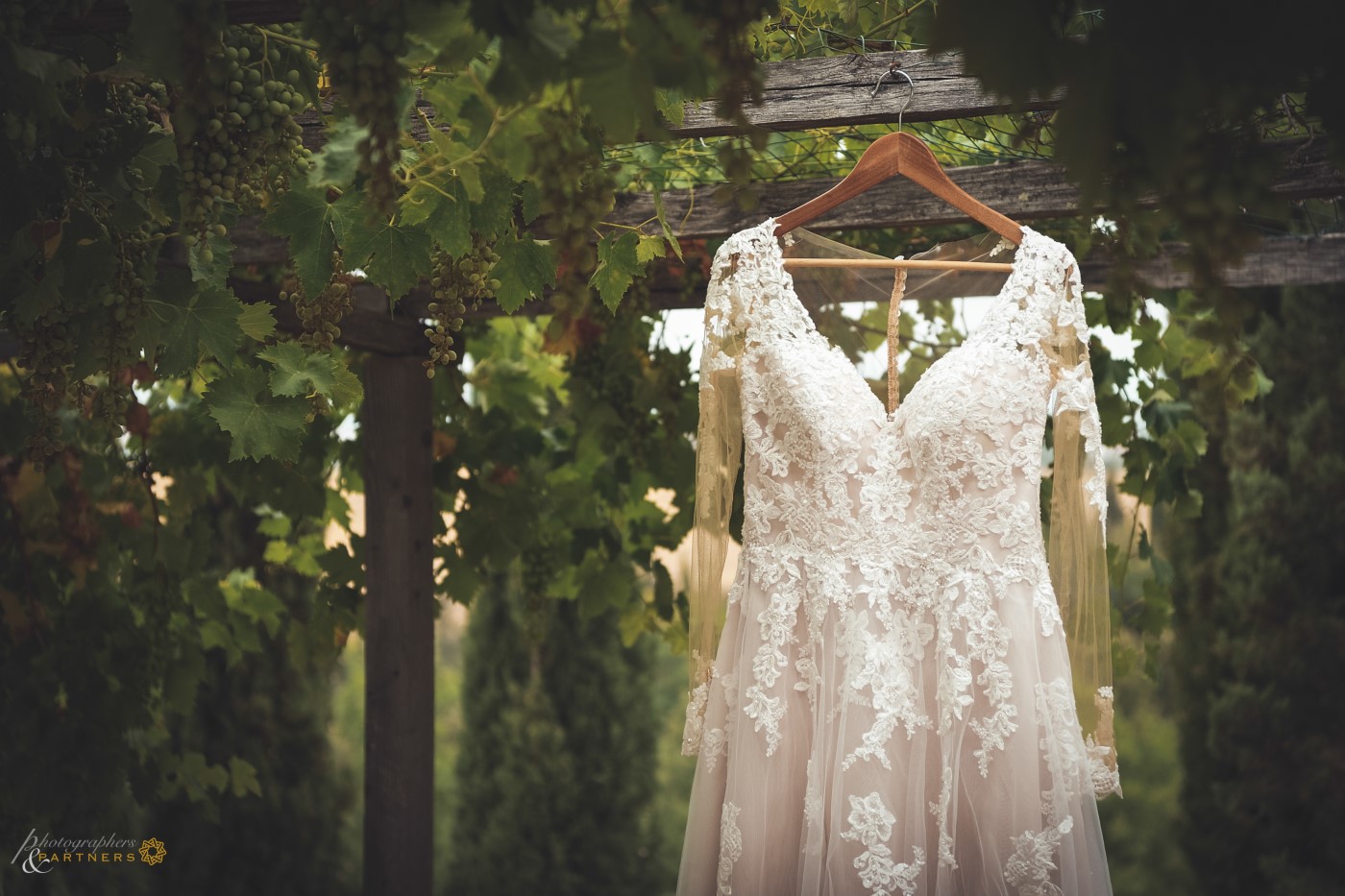 Bride’s dress gently hanging between Tuscan grapes.