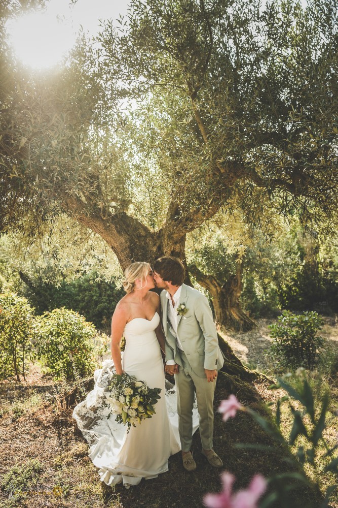 Underneath the olive trees