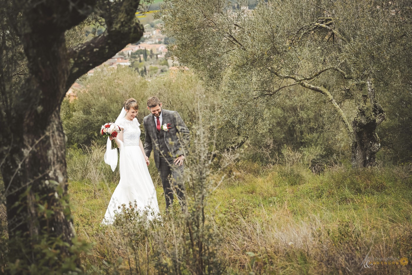 A photo among the olive trees