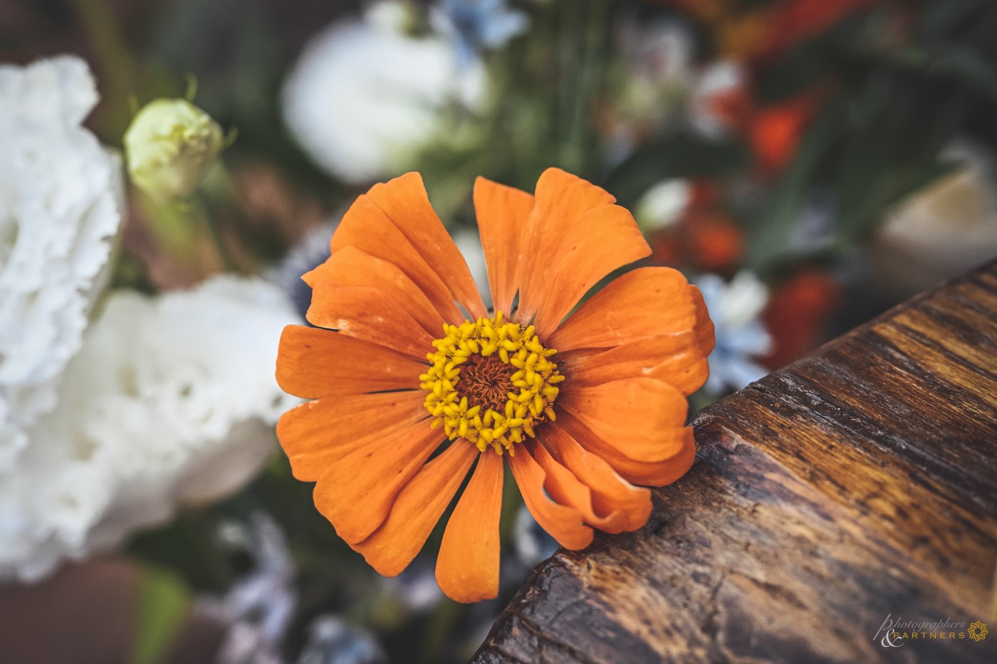 Flowers...